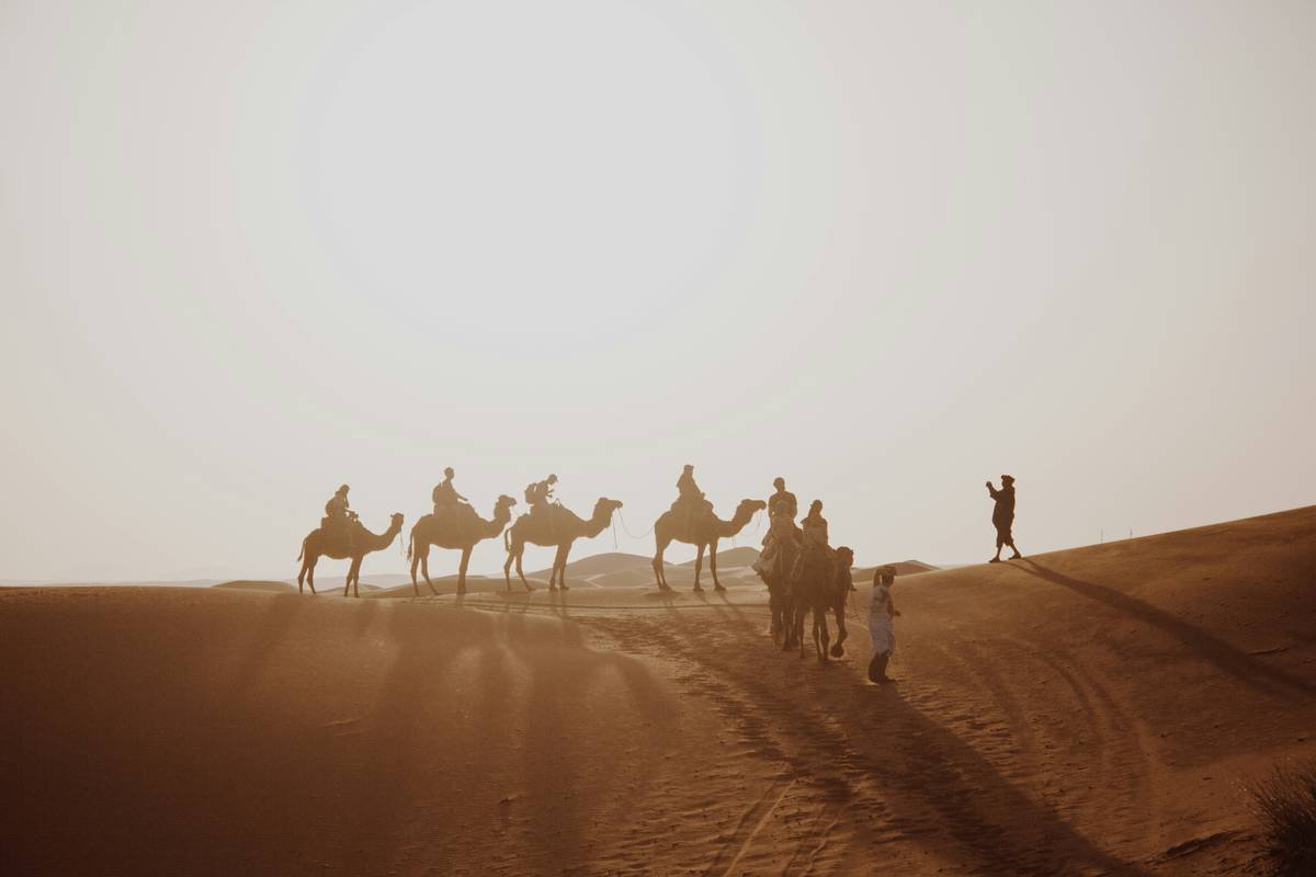 Wild Sahara Expedition: Your Ultimate Guide to an Authentic, Life-Changing Desert Journey