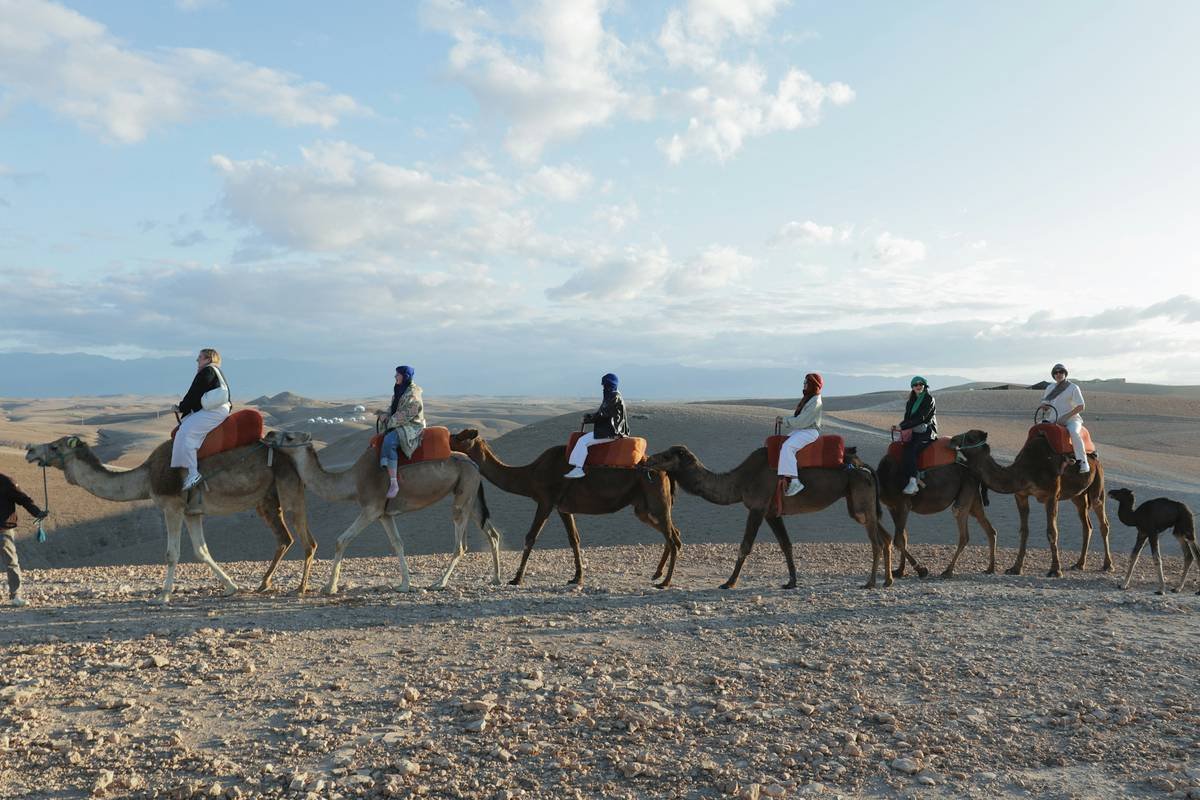 Can You Visit the Sahara Desert? Yes—Here’s Exactly How (Without Ending Up Lost or Broke)