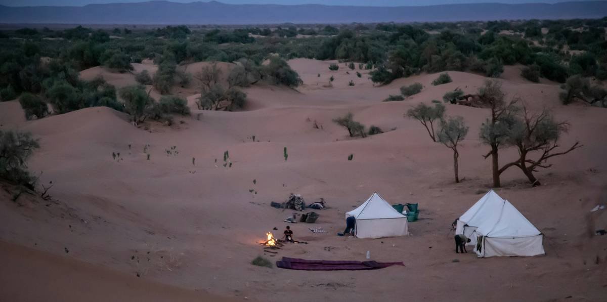 Infographic comparing budget vs mid-range vs premium Sahara Desert Morocco tours showing differences in transport, group size, guide certification, camp type, and meal quality