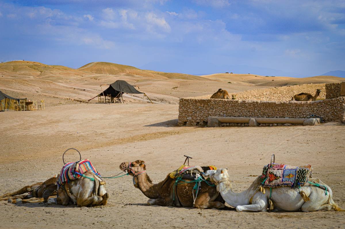 Why Your Marrakech Sahara Desert Tour Might Suck (And How to Make It Unforgettable)