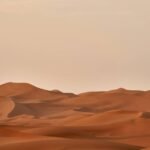 Desert Trek Apple Suede: The Unconventional Path to Authentic Sahara Adventures