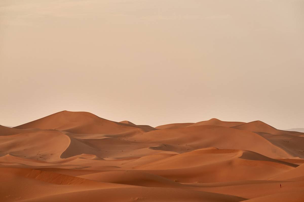 Desert Trek Apple Suede: The Unconventional Path to Authentic Sahara Adventures
