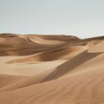 desert walks australia: The Underrated Alternative to Overhyped Safari Rides