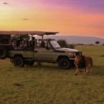 Dune Bashing Safari: The Raw Truth About Surviving the Sands