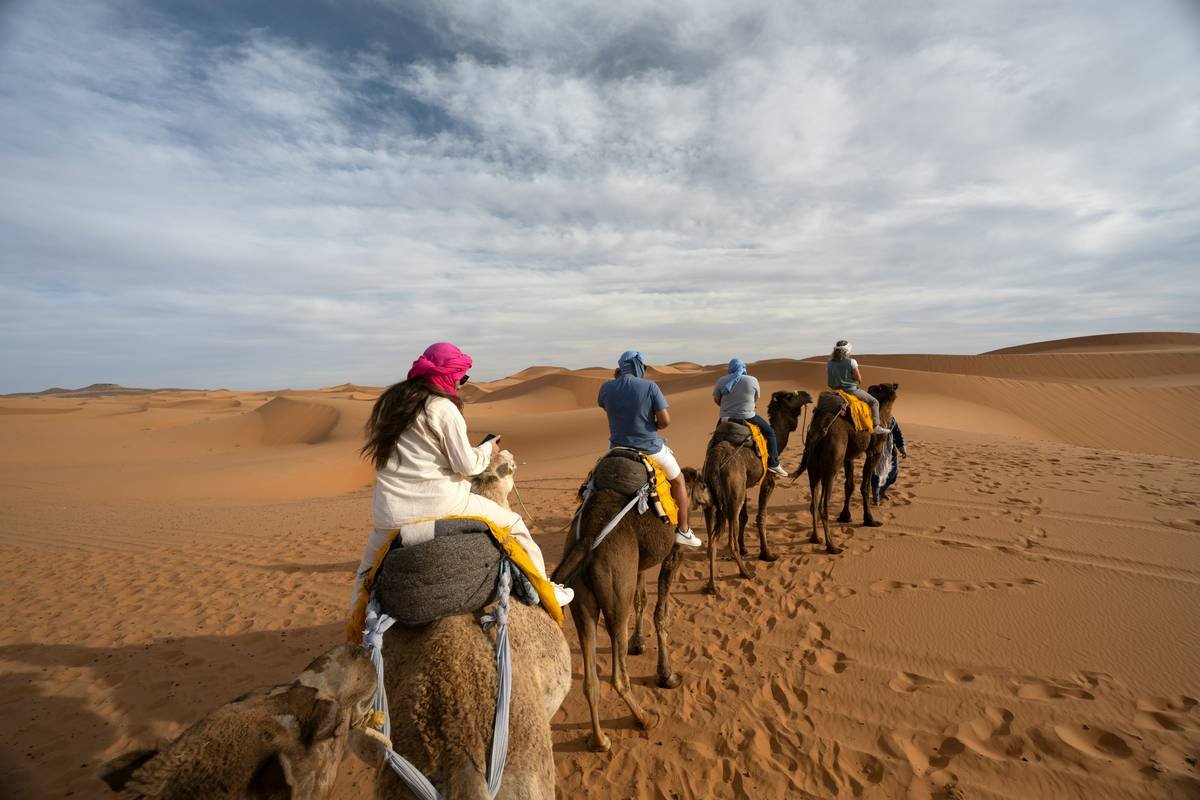 Infographic comparing authentic desert trek vs. commercial desert safari: duration, physical effort, vehicle use, guide expertise, and environmental impact