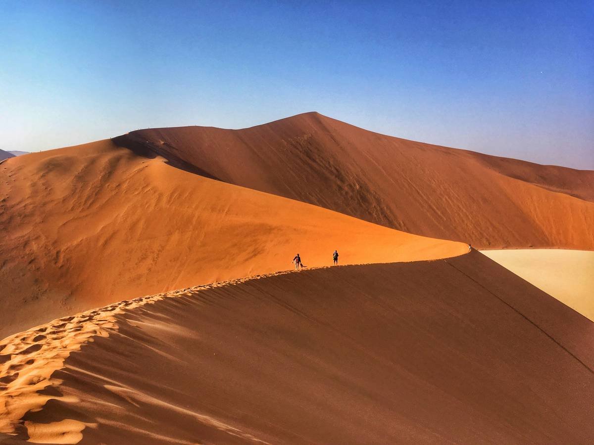 Infographic showing key desert hiking risks: dehydration, heat exhaustion signs, UV index levels, and essential gear checklist