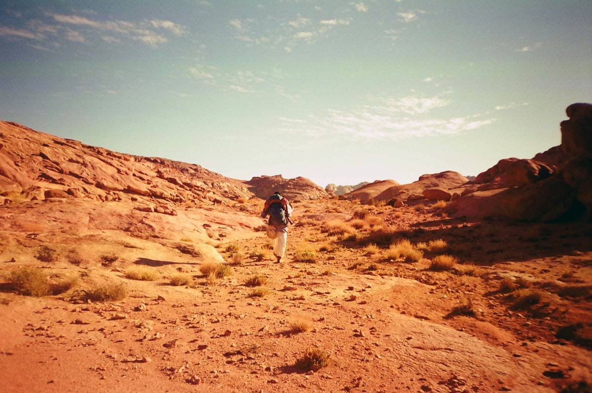 Is Hiking in a Desert Safe? What No One Tells You Before You Go