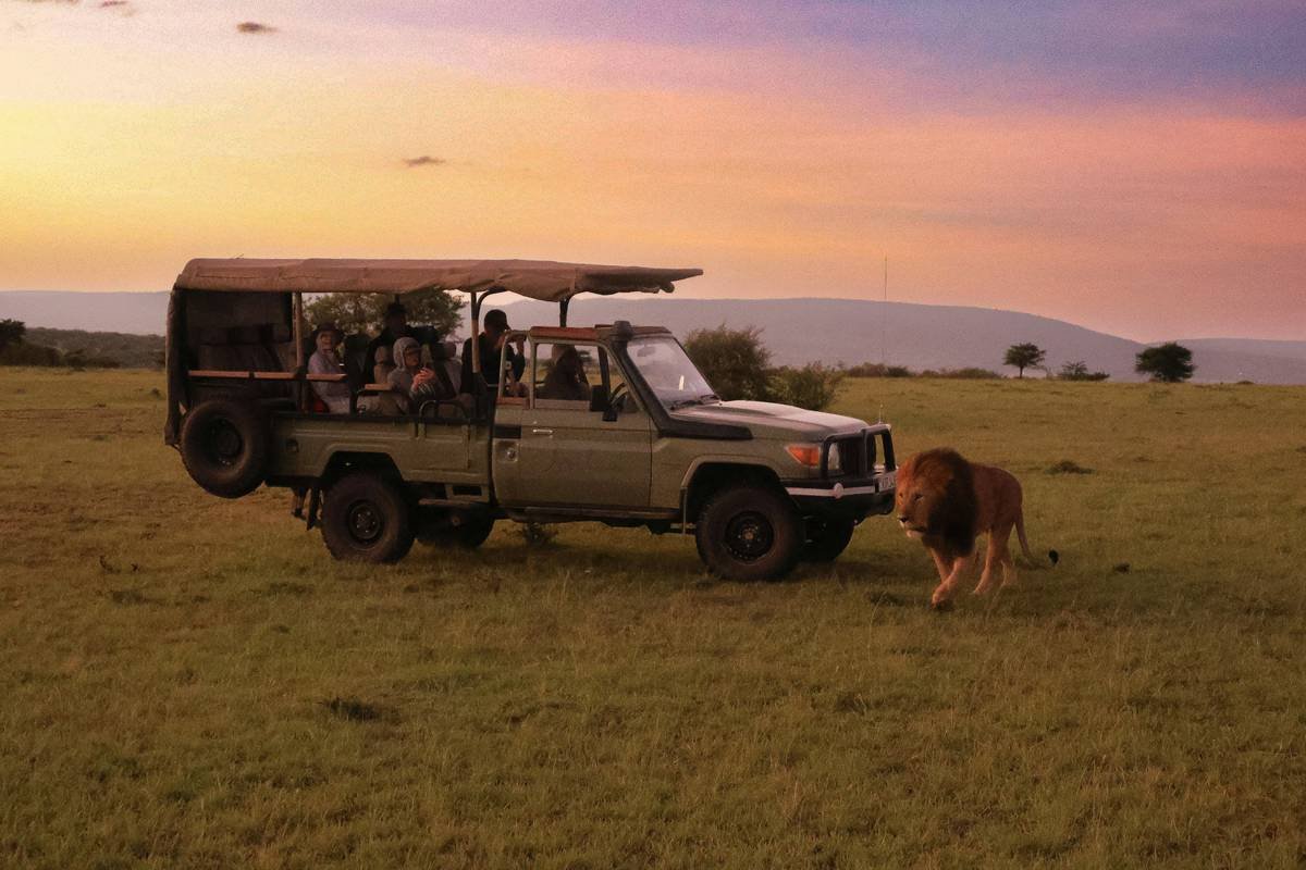 dune bashing safari in powerful 4x4 vehicle tackling steep sand ridge