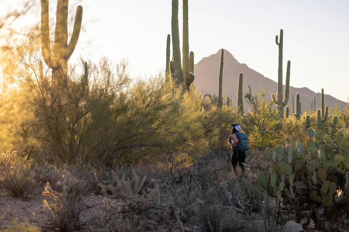 Why Hiking in Palm Desert Is the Ultimate Desert Escape (And How to Do It Right)